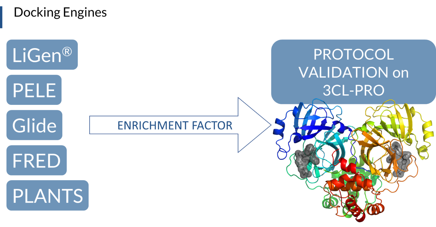 Viral Protein Mapping