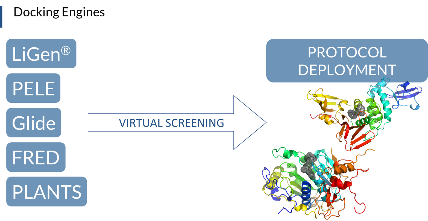 Identification of the Binding Pocket