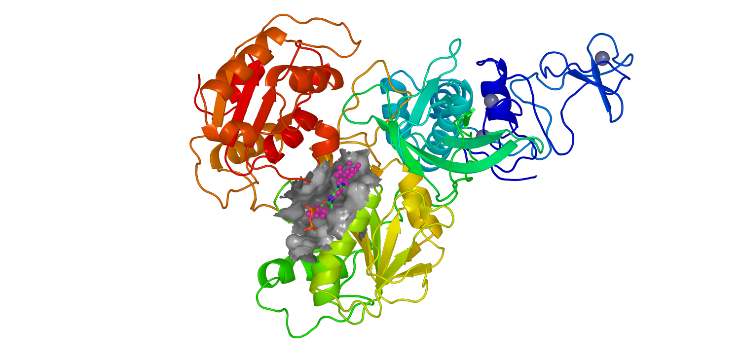 Identification of the Binding Pocket