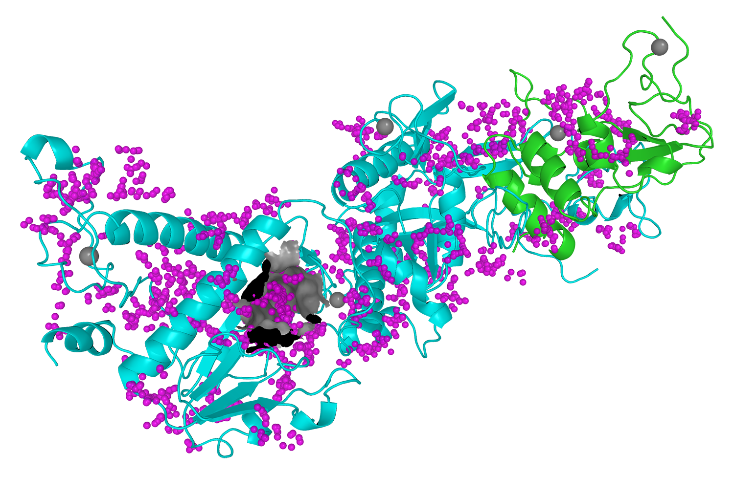 Viral Protein Mapping